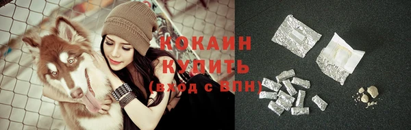 ГАЛЛЮЦИНОГЕННЫЕ ГРИБЫ Дрезна