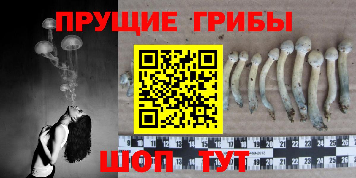Кировск  Псилоцибиновые грибы Magic Shrooms  Псилоцибиновые грибы мицелий  Вход с VPN 